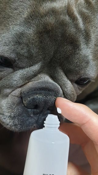 뚜쥬루님이 올린 리뷰 사진 3