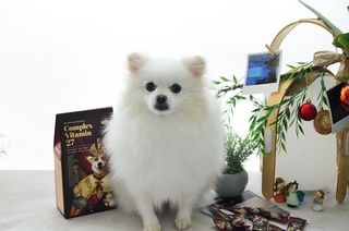 JAY님이 올린 리뷰 사진 2