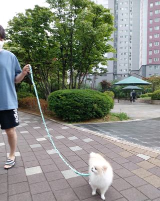 리디아은서님이 올린 리뷰 사진 2