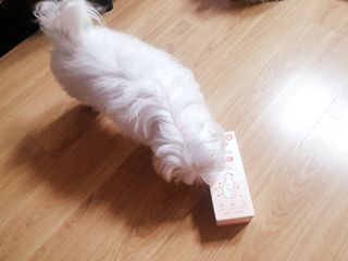 My Pet Care 모발과 모질 피부건강에 개좋아 — 5점을 준 리뷰어가 2021년 1월 올린 사용 사진