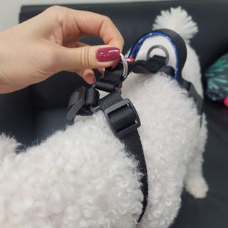 K케이님이 올린 리뷰 사진 2