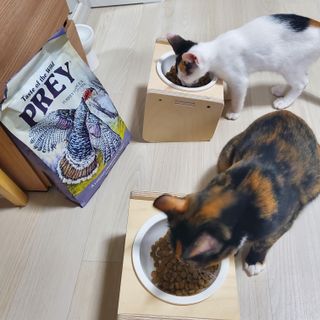당고경단님이 올린 리뷰 사진 4