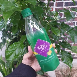 몽베스트 Montbest with Sparkling water Lemon OR Lime 20병(랜덤) — 5점을 준 리뷰어가 2021년 10월 올린 사용 사진