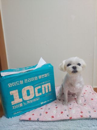 아베크 펫 와이드 프리미엄 대형 애견 강아지 배변 패드 30매 1팩 80g — 4점을 준 리뷰어가 2021년 7월 올린 사용 사진