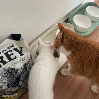 꽃송이님이 올린 리뷰 사진 4