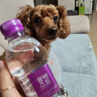 포실이님이 올린 리뷰 사진 1