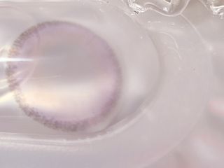 연이님이 올린 리뷰 사진 3
