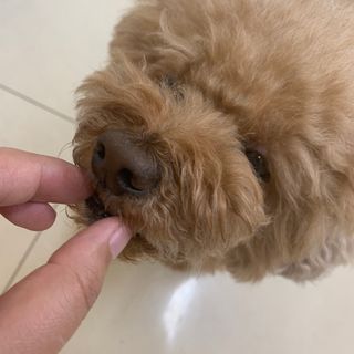 토끼님이 올린 리뷰 사진 4