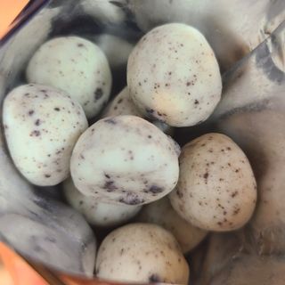 J.영원한별님이 올린 리뷰 사진 3