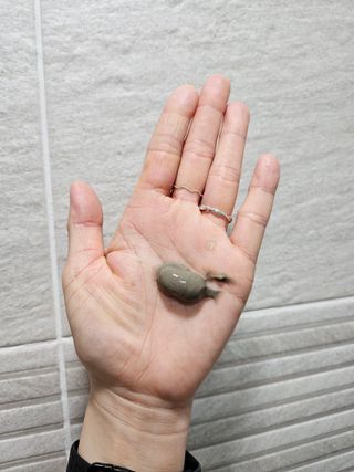 홍세미님이 올린 리뷰 사진 4