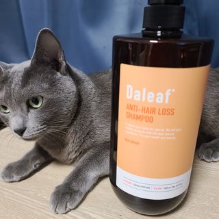 달리프 진저 베러 퍼퓸 탈모 완화 샴푸 1000ml 향 3종 — 5점을 준 리뷰어가 2021년 2월 올린 사용 사진