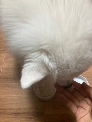 민트초코님이 올린 리뷰 사진 4