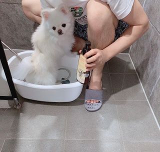 순덕아맘마먹자님이 올린 리뷰 사진 1