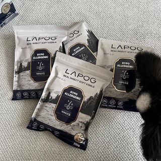 [푸디웜] 라포그 리얼인섹트 소프트키블 스킨 1KG — 5점을 준 리뷰어가 2022년 9월 올린 사용 사진