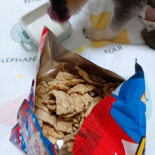 복도리님이 올린 리뷰 사진 2
