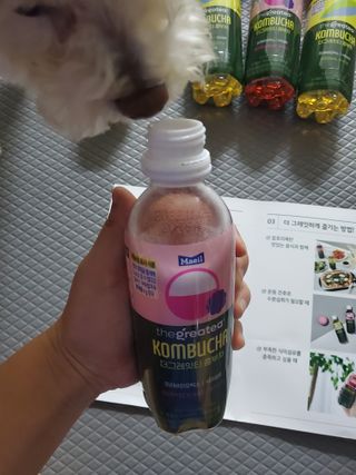 더그레잇티 콤부차 300ml *12개입 (오리지널 6개+베리리치 6개) — 5점을 준 리뷰어가 2022년 7월 올린 사용 사진