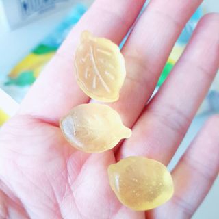 똘레랑스님이 올린 리뷰 사진 3
