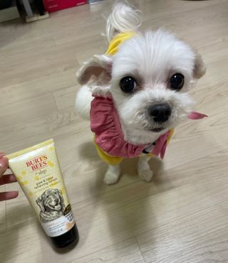불량주부벗어나기님이 올린 리뷰 사진 1