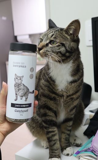 유리상님이 올린 리뷰 사진 1