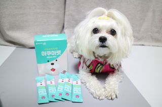 뽀블리님이 올린 리뷰 사진 1