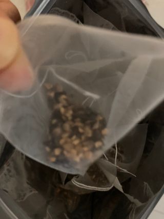 수령광님이 올린 리뷰 사진 2