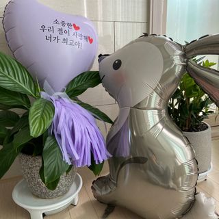 어도러블M님이 올린 리뷰 사진 2
