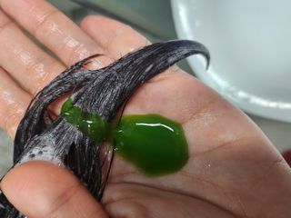 Kkukku님이 올린 리뷰 사진 2