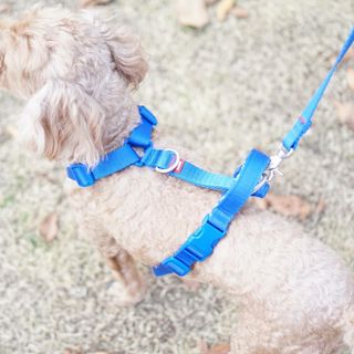 윤디캔디님이 올린 리뷰 사진 2