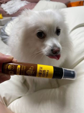 구름님이 올린 리뷰 사진 3