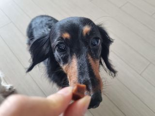 우리두리님이 올린 리뷰 사진 3