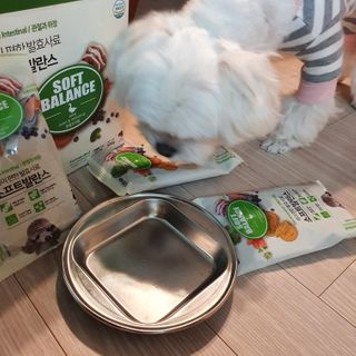 씨디랩 속이 편한 강아지 사료 소프트발란스 기호성 좋은 발효사료 피부와 위장 관절과 위장 — 5점을 준 리뷰어가 2021년 3월 올린 사용 사진
