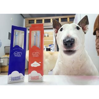 치카페카 Chicapetca — 3.5점을 준 리뷰어가 2022년 2월 올린 사용 사진