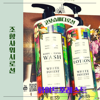 조향사 바디로션 + 바디워시 화이트포레스트 — 5점을 준 리뷰어가 2022년 5월 올린 사용 사진
