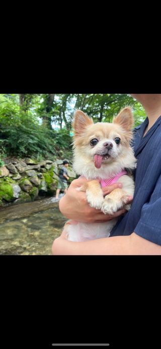 Lucy님이 올린 리뷰 사진 1