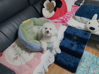 김이설님이 올린 리뷰 사진 3