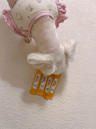 름님이 올린 리뷰 사진 3