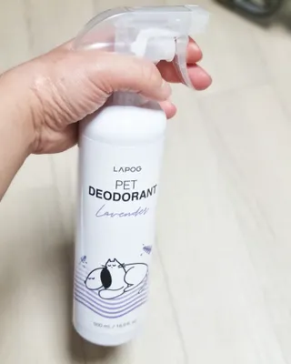 sswh님이 올린 리뷰 사진 2