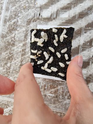 영.주님이 올린 리뷰 사진 1