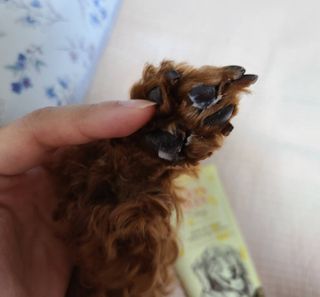 연이님이 올린 리뷰 사진 3