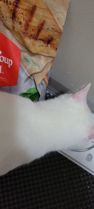 대박이님이 올린 리뷰 사진 3