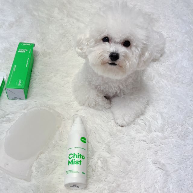 키토미스트 150ml + 실리콘바디브러쉬  강아지 고양이 항균항바이러스, 강력탈취 피부 보습,무향 리뷰 사진