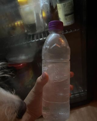 몽베스트 [MONTBEST]위드어스 500mL 20병 — 5점을 준 리뷰어가 2022년 8월 올린 사용 사진