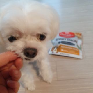 hosu.1230님이 올린 리뷰 사진 3