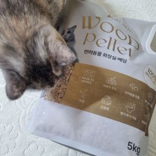 버진플래닛코리아 버진플래닛 고양이 화장실 우드 펠렛 모래 배변 펠릿 — 5점을 준 리뷰어가 2023년 2월 올린 사용 사진