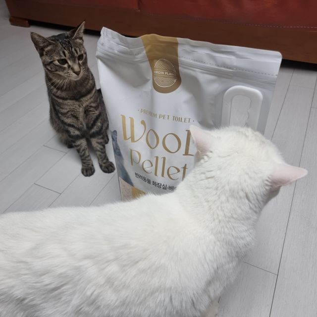 버진플래닛 고양이 화장실 우드 펠렛 모래 배변 펠릿 리뷰 사진