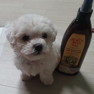 엘쏘둥님이 올린 리뷰 사진 1