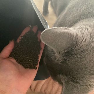율집사님이 올린 리뷰 사진 1