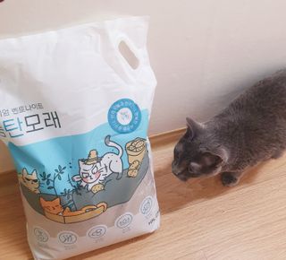 핑키냥이님이 올린 리뷰 사진 2