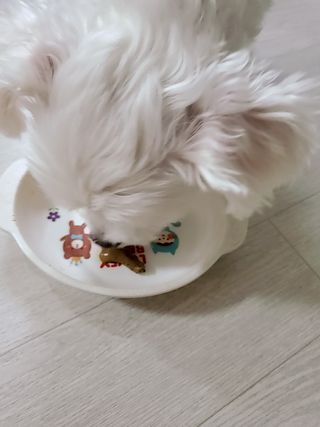 뿅뿅가을님이 올린 리뷰 사진 3