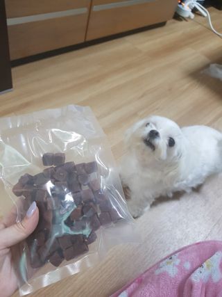 My Pet Care 천연단백질 눈건강에 개좋아 — 5점을 준 리뷰어가 2021년 4월 올린 사용 사진